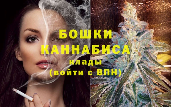 мдпв Вязники